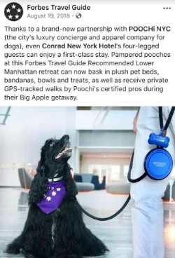 Forbes Travel Guide